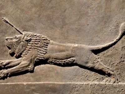 Aslan Avlamak İstemiyorum