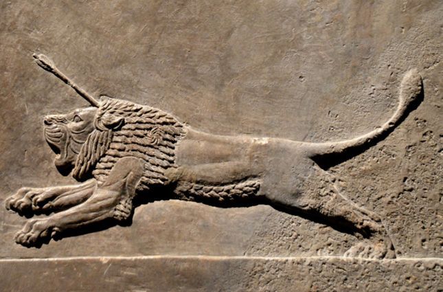 Aslan Avlamak İstemiyorum